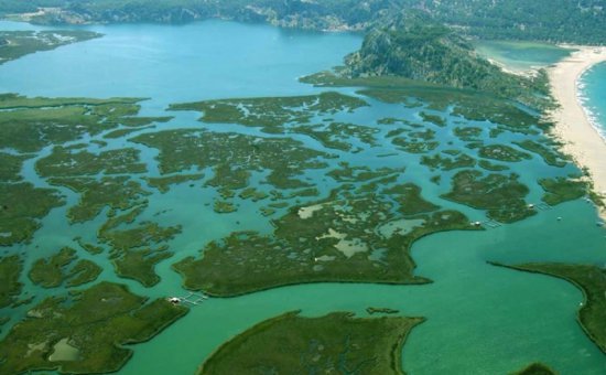 Dalyan fotos