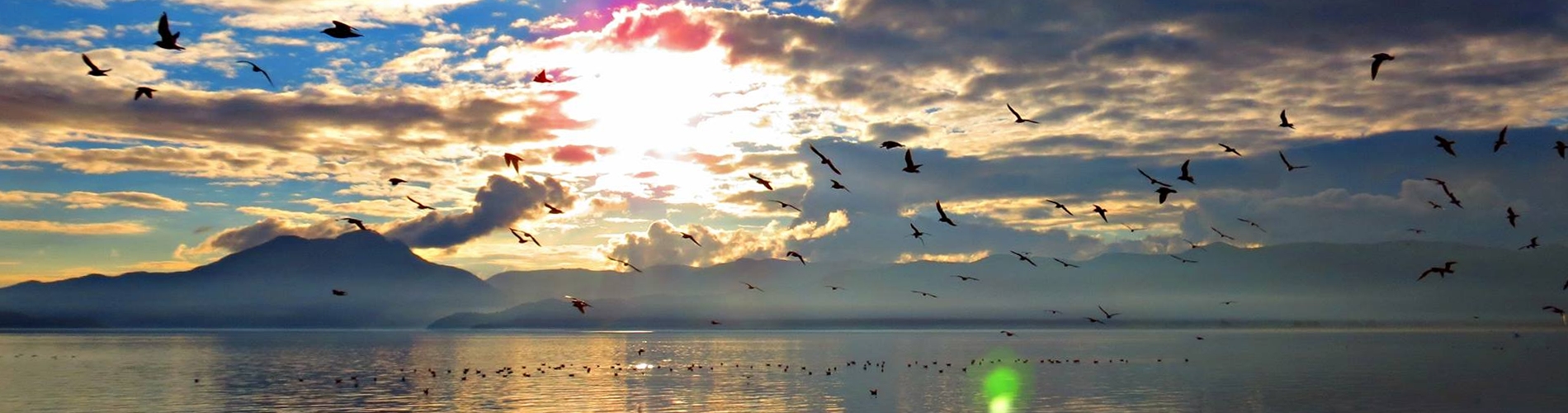 Köyceğiz hakkında, Köyceğiz fotoğrafları